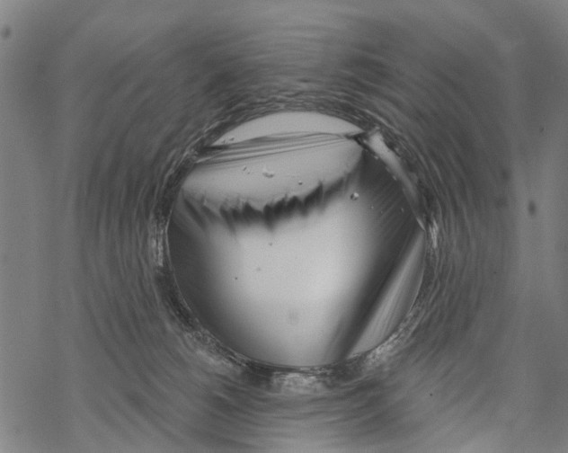 X0000067490180200605051747