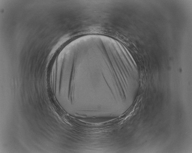 X0000067490200200605051746