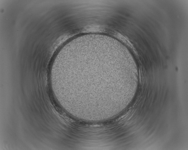 X0000067490204200605051746