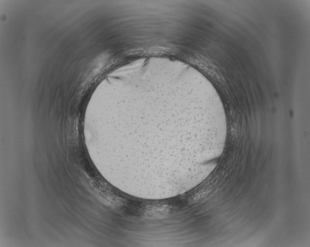 X0000067490206200605051746