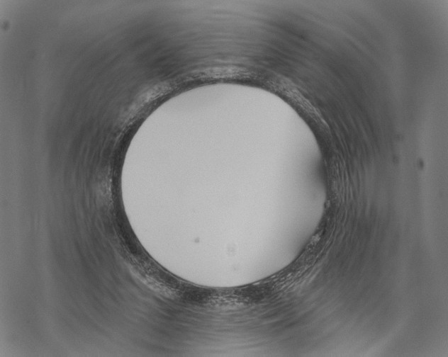 X0000067490207200605051746