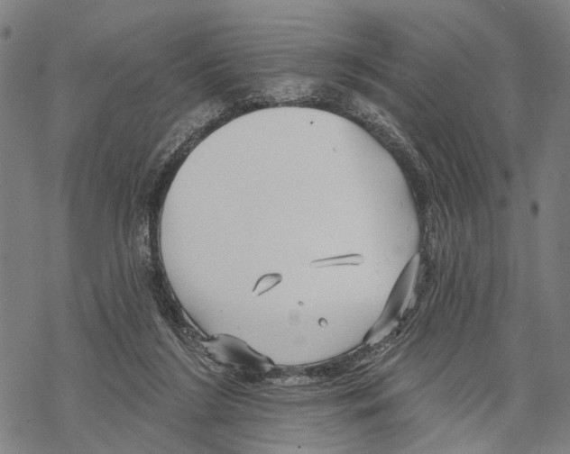 X0000067490212200605051746