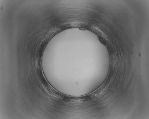 X0000067490213200605051746