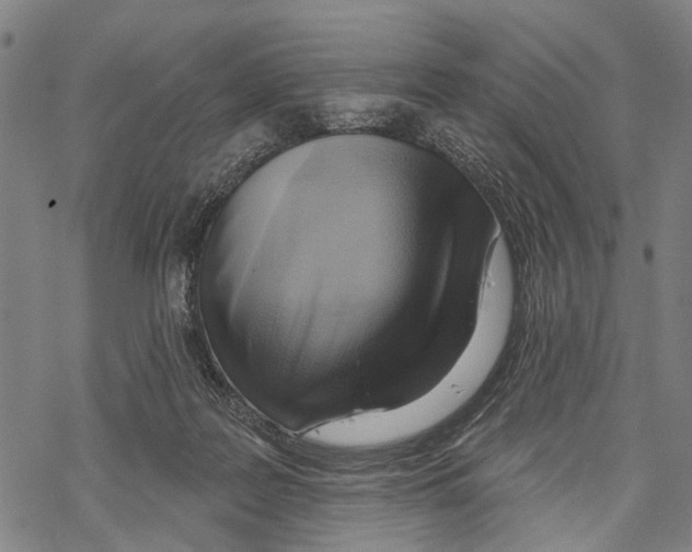 X0000067490219200605051746