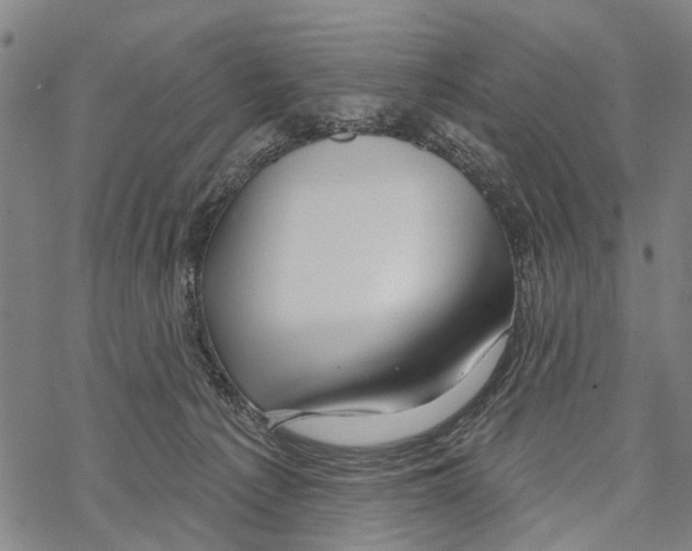 X0000067490225200605051746