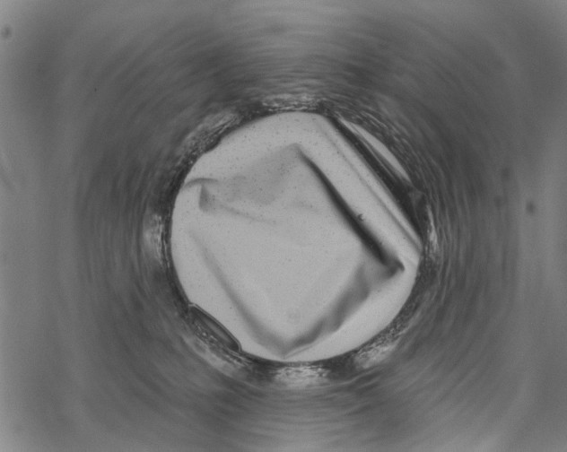 X0000067490231200605051746