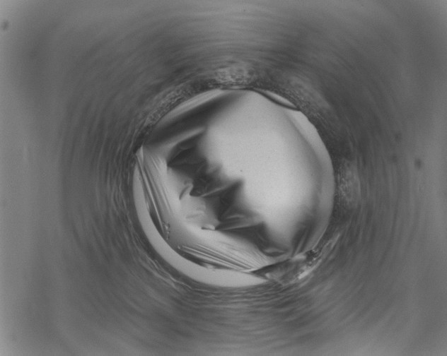 X0000067490233200605051746