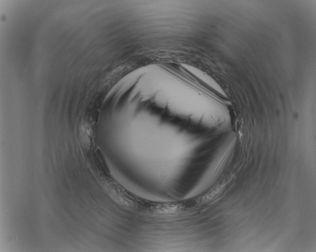 X0000067490235200605051746