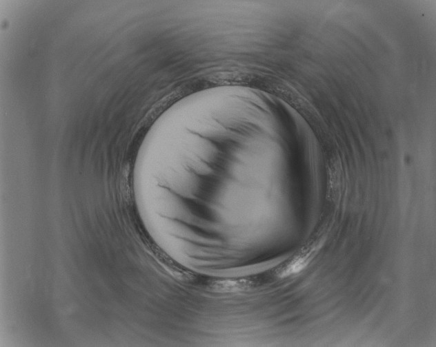 X0000067490239200605051745