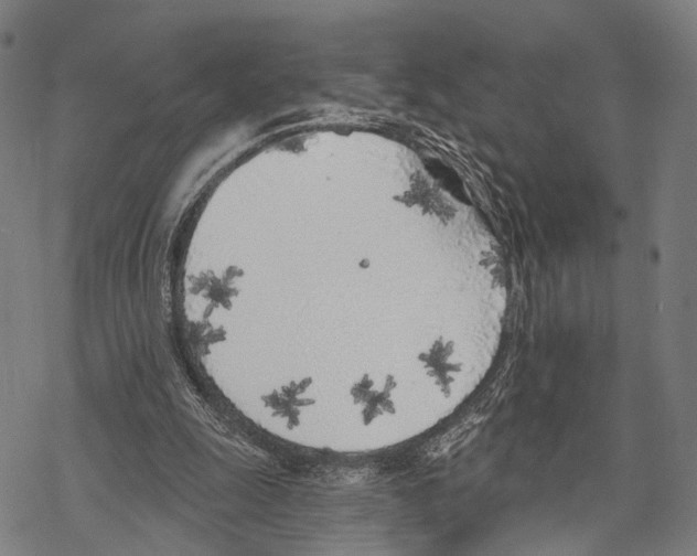 X0000067490247200605051745