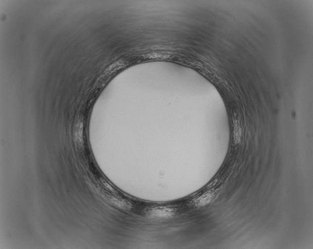 X0000067490263200605051745