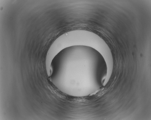 X0000067490284200605051745