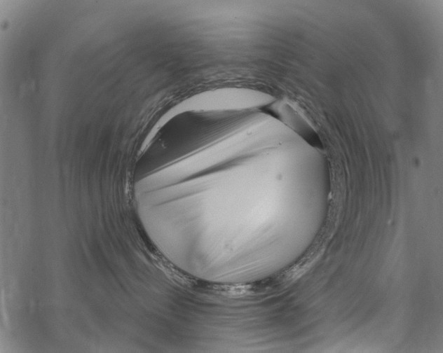 X0000067490288200605051745