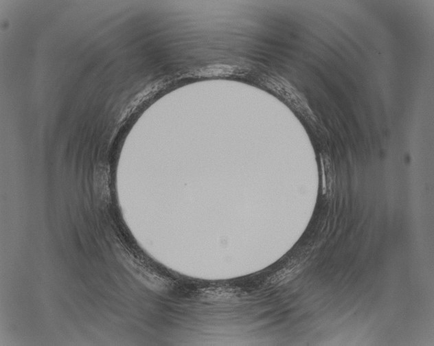 X0000067490300200605051744