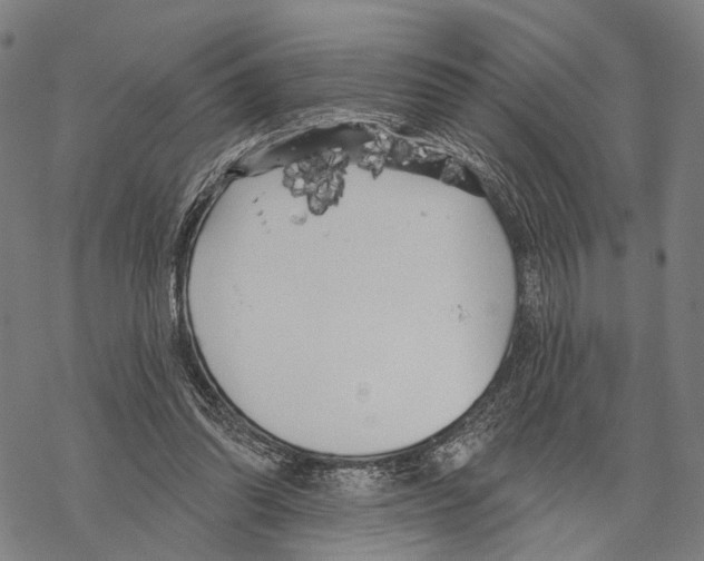 X0000067490302200605051744