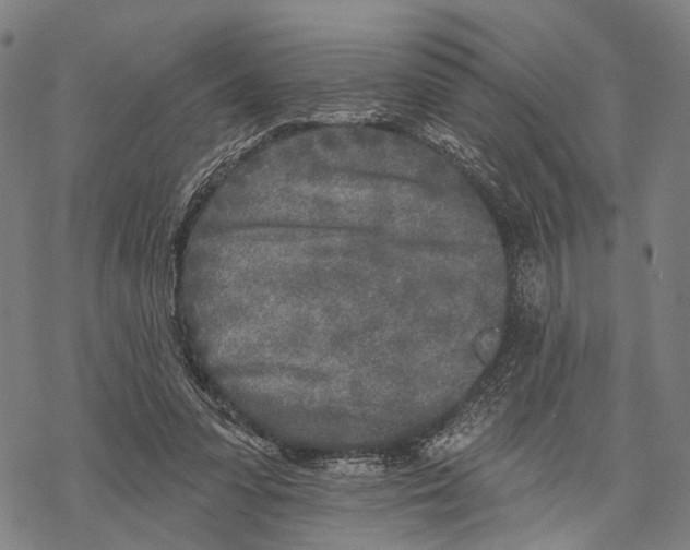 X0000067490303200605051744