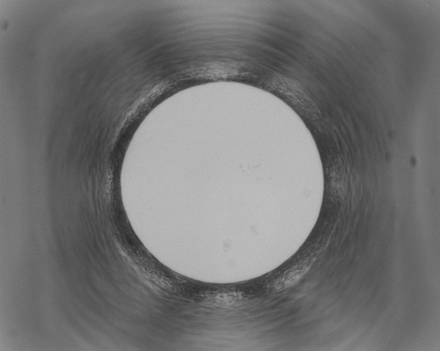 X0000067490304200605051744