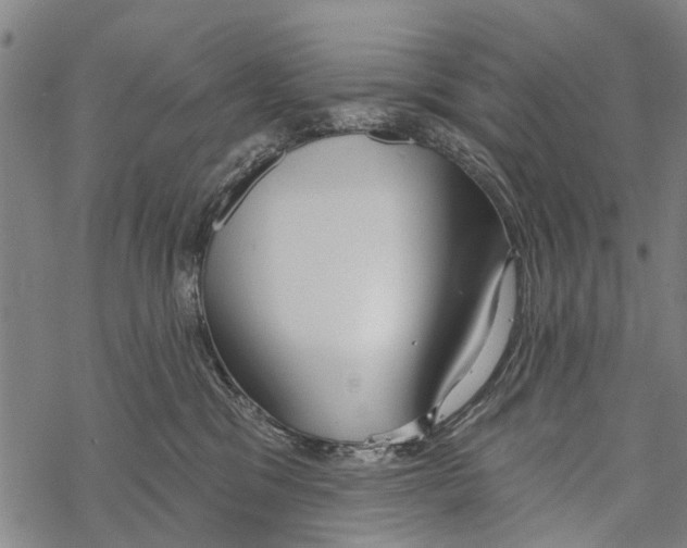 X0000067490329200605051744