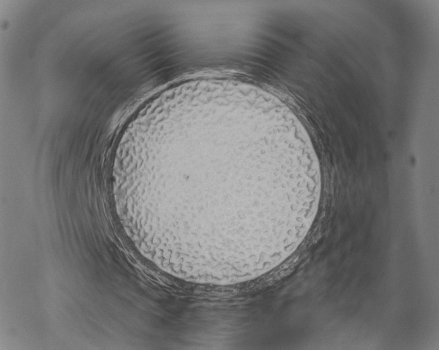 X0000067490337200605051743