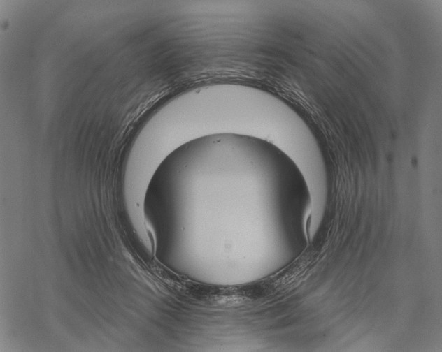 X0000067490360200605051743