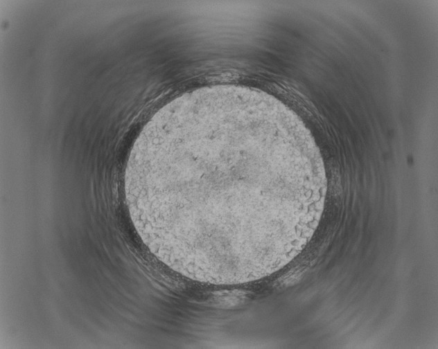 X0000067490363200605051744