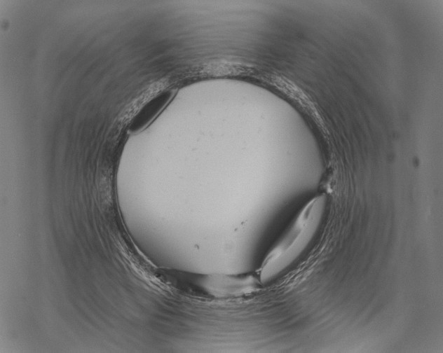 X0000067490393200605051743