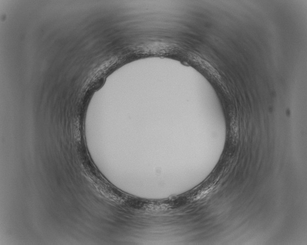 X0000067490403200605051743