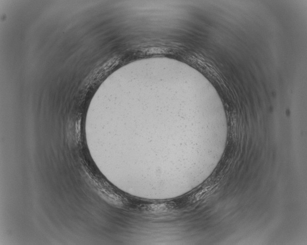 X0000067490406200605051743