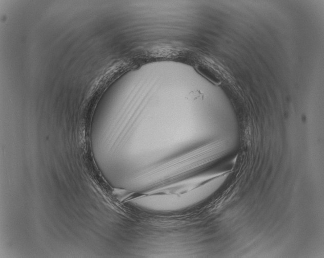 X0000067490407200605051743