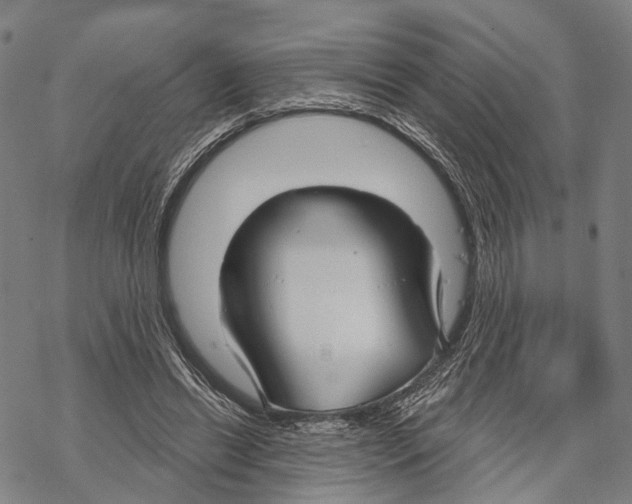 X0000067490446200605051742