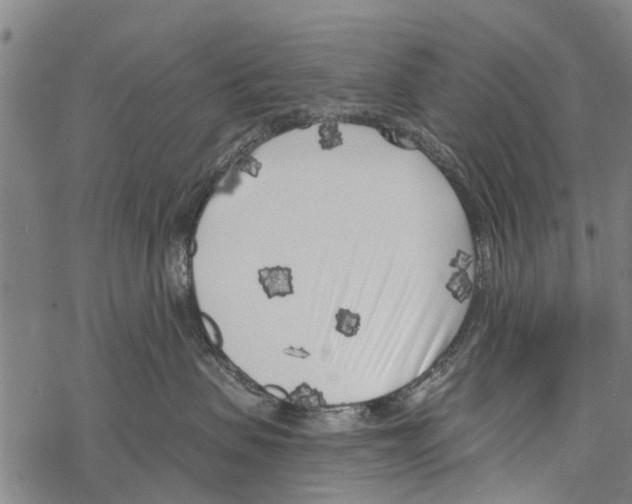 X0000067490479200605051742