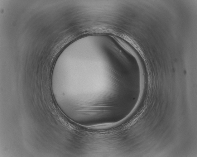 X0000067490481200605051742