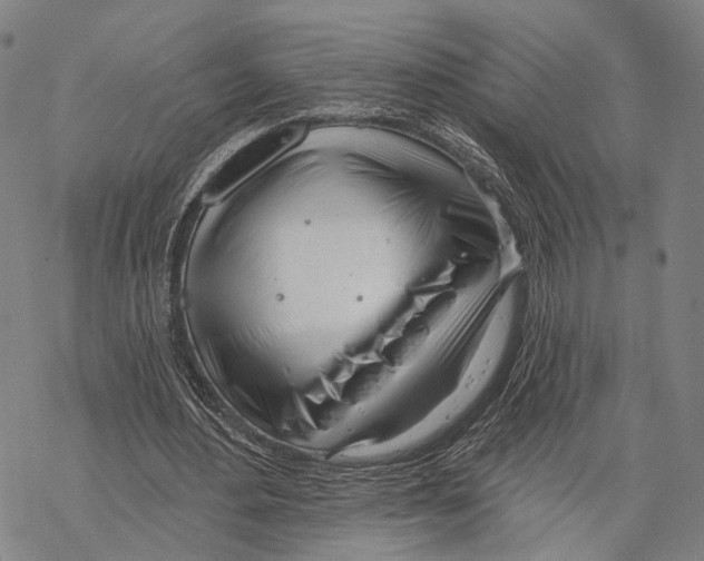 X0000067490484200605051741