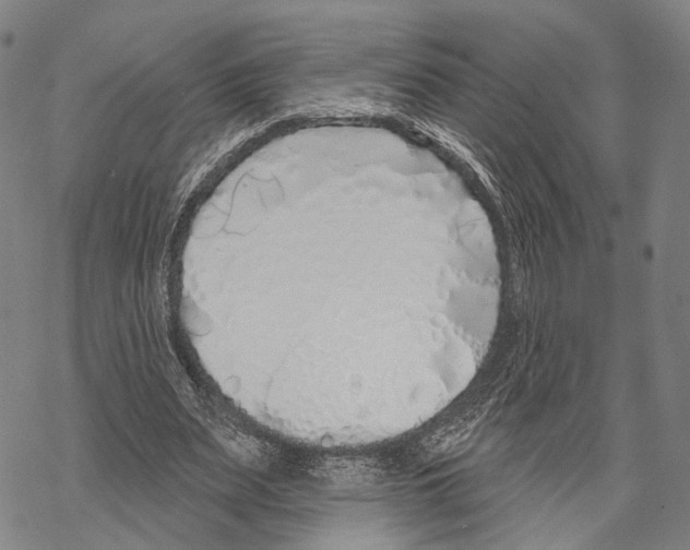 X0000067490487200605051741