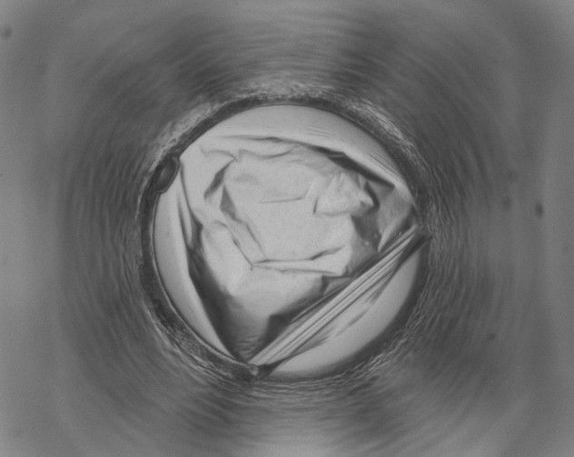 X0000067490488200605051741