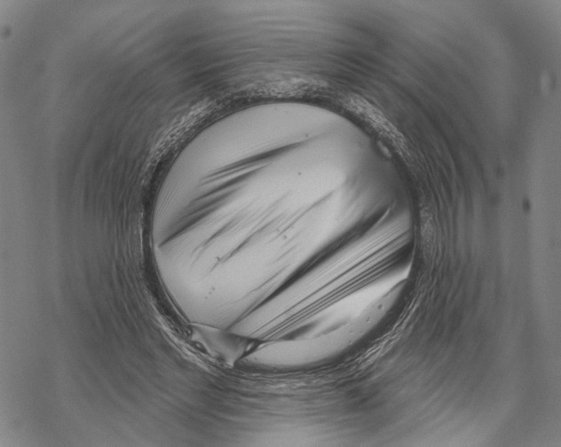 X0000067490493200605051741