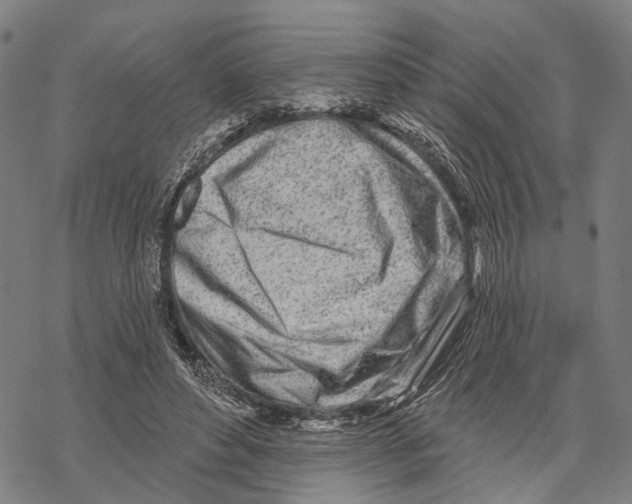 X0000067490496200605051741
