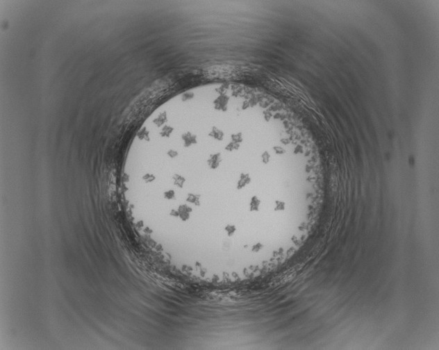 X0000067490502200605051741