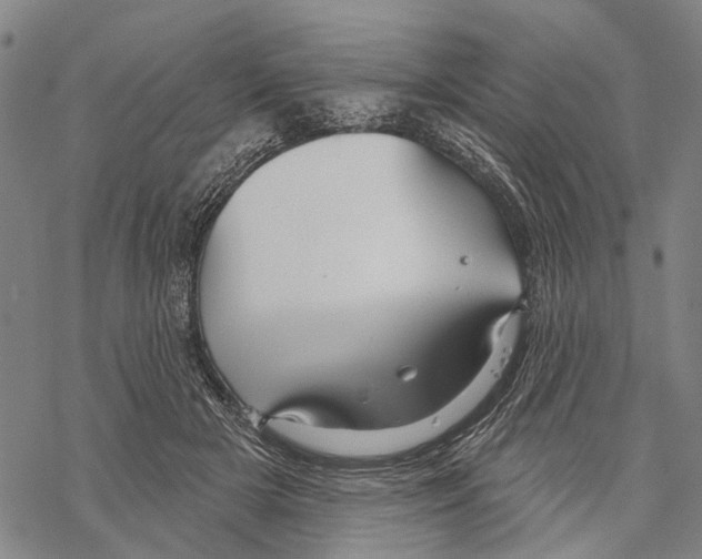 X0000067490505200605051741