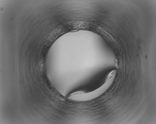 X0000067490513200605051741