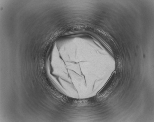 X0000067490517200605051741