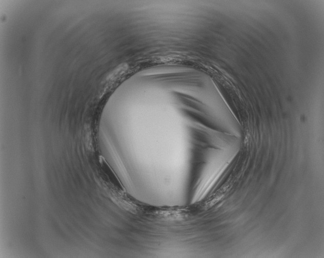 X0000067490524200605051741