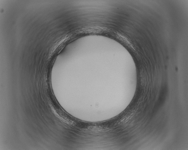 X0000067490538200605051740