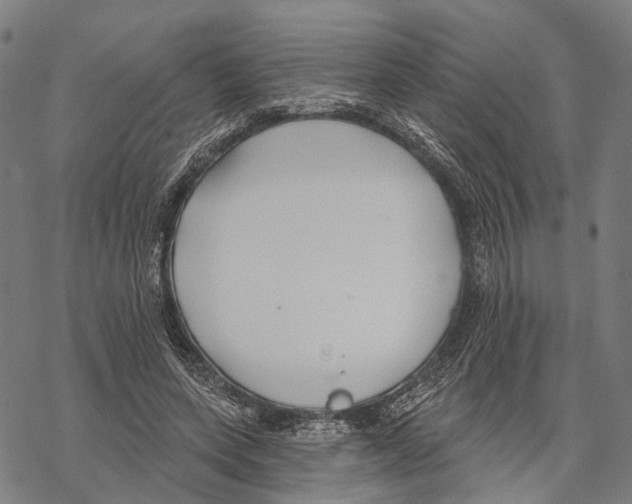 X0000067490543200605051740