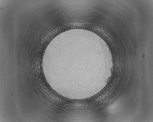 X0000067490545200605051740