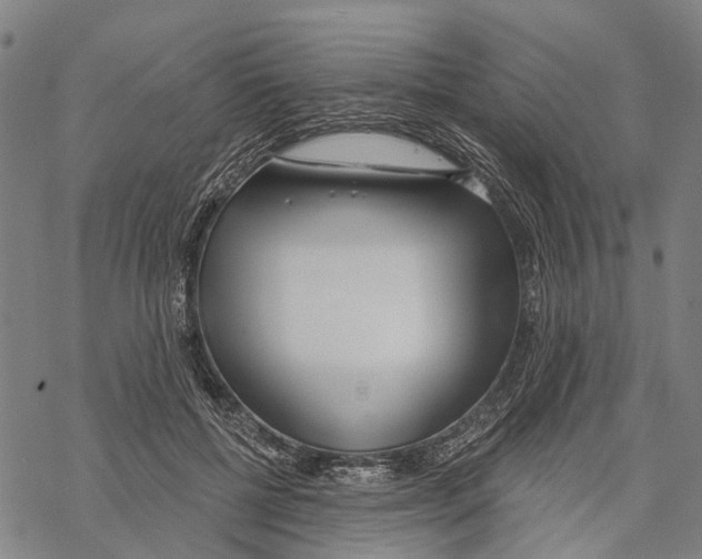 X0000067490552200605051740