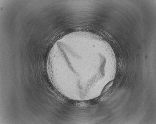 X0000067490565200605051741