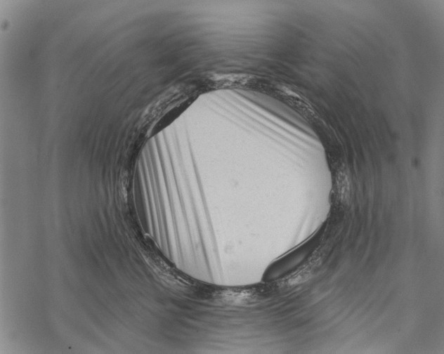 X0000067490570200605051741