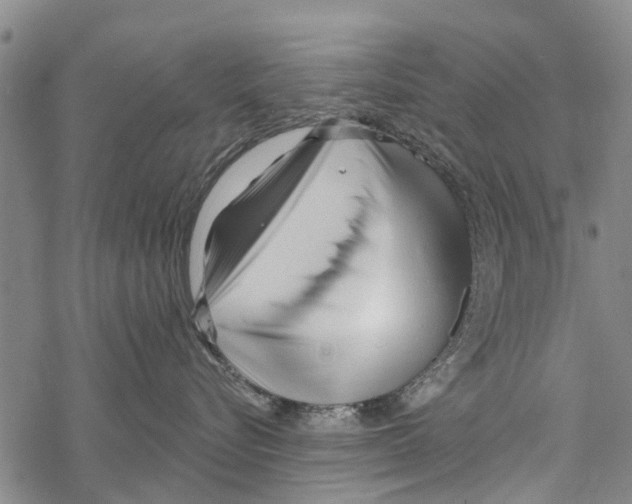 X0000067490576200605051741