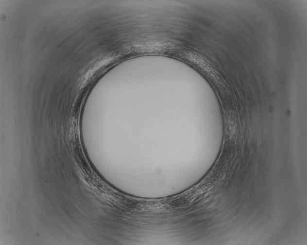 X0000067490583200605051740